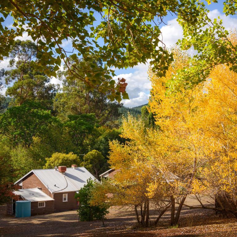 Lewana Cottages Balingup Exterior foto